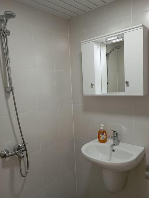 Gradina Apartment Montana Kültér fotó
